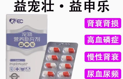 益宠壮宠物胶囊——全面守护宠物健康的新选择