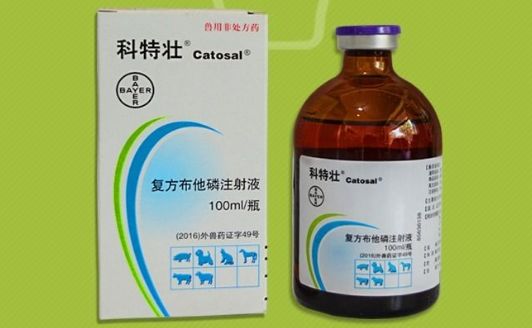 科特壮——专为宠物急/慢性代谢紊乱疾病设计