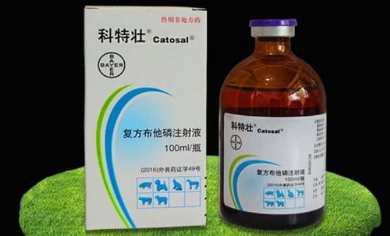科特壮——专为宠物急/慢性代谢紊乱疾病设计