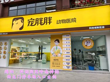 宠胖胖动物医院——毛孩子的专属健康乐园来啦！