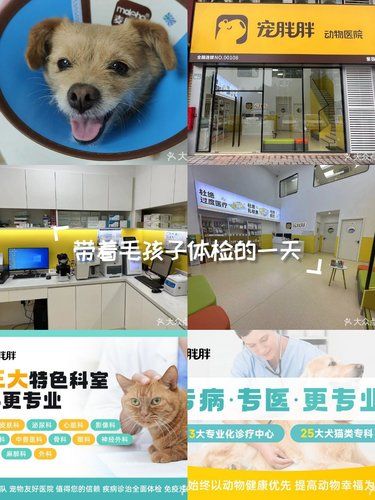 医术超赞 医心更美~