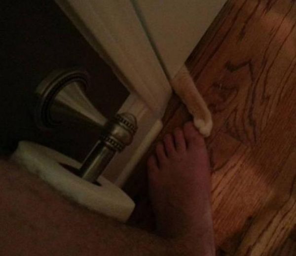 狗：我本来想给你做一个枕头的！结果……6张爆笑的宠物囧图