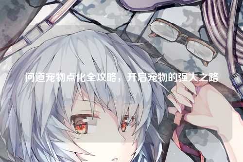 问道宠物点化全攻略，开启宠物的强大之路