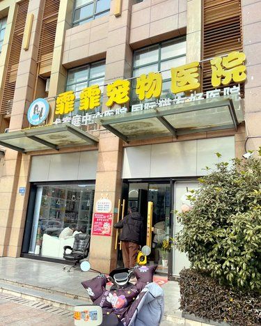 你身边的宠物健康守护者～