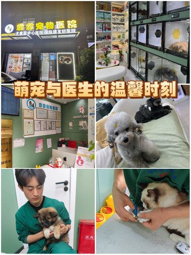 超靠谱的宠物医院！医生相当负责~服务很耐心！