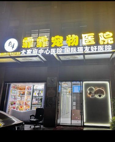 宝藏动物医院