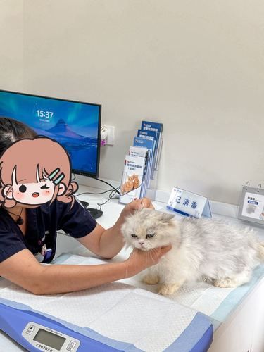 苏州新开的宠物医院，毛孩的健康有保障啦！