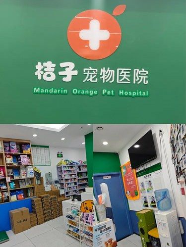 桔子宠物医院•异宠•骨外科•眼科