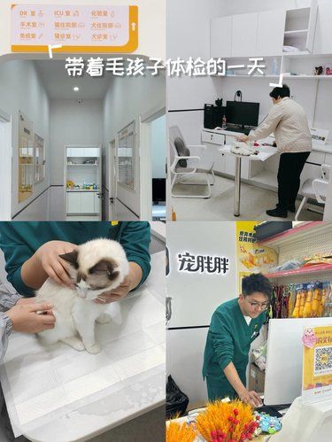 带着毛孩子体检的一天