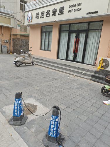 商业街的宠物店