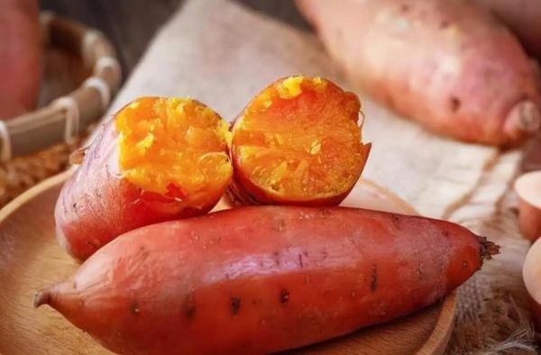 可以给猫吃的人类食物有哪些？最后一个记得收藏