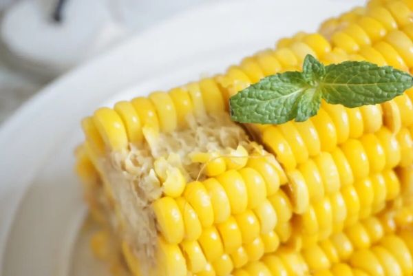 可以给猫吃的人类食物有哪些？最后一个记得收藏