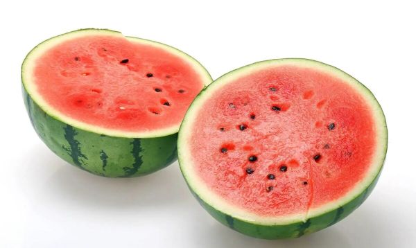 可以给猫吃的人类食物有哪些？最后一个记得收藏