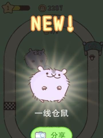 解决仓鼠跑轮声音太大的4种方法（让你的仓鼠跑轮秒开静音模式）