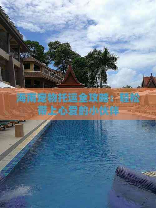 海南宠物托运全攻略：轻松带上心爱的小伙伴