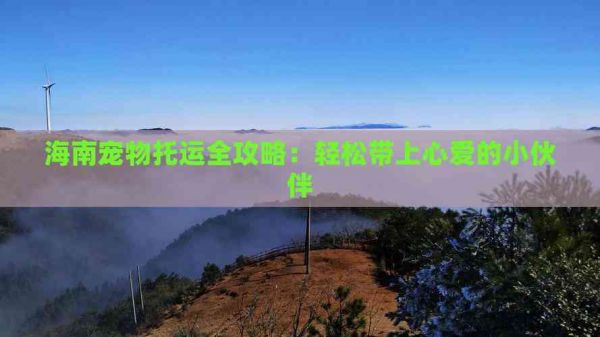 海南宠物托运全攻略：轻松带上心爱的小伙伴