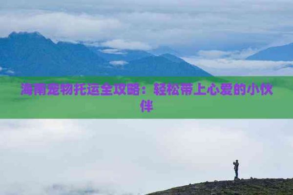 海南宠物托运全攻略：轻松带上心爱的小伙伴