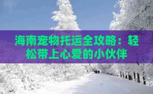 海南宠物托运全攻略：轻松带上心爱的小伙伴