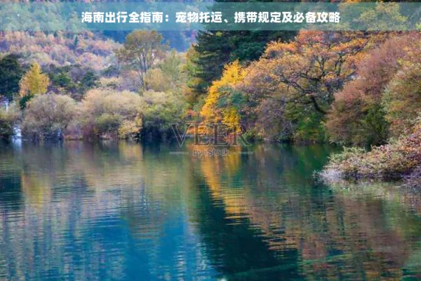 海南出行全指南：宠物托运、携带规定及必备攻略