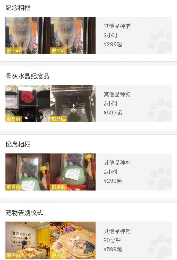 “汪汪婚介所”、生日蛋糕、萌宠旅拍......养儿式养宠花样多