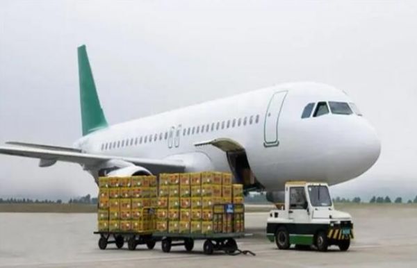 选择航空托运宠物你需要准备什么？流程是什么样的？ 