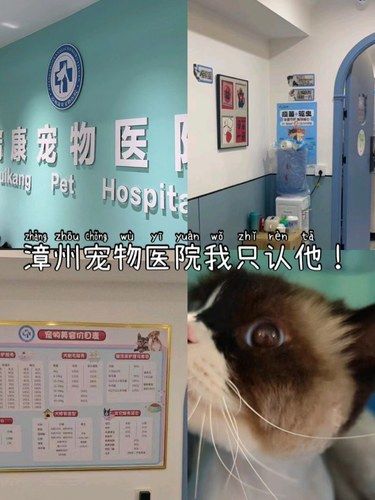 漳州宠物医院我只认他！ 