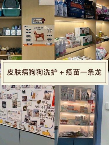 皮肤病狗狗洗护 + 疫苗一条龙！