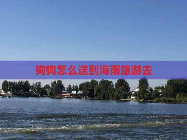 狗狗怎么送到海南旅游去