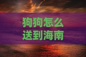 狗狗怎么送到海南旅游去