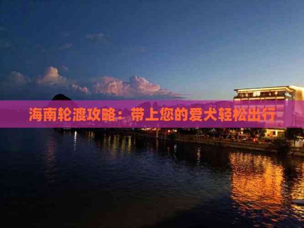 海南轮渡攻略：带上您的爱犬轻松出行