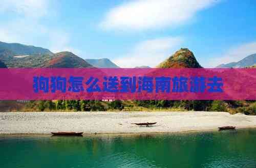 狗狗怎么送到海南旅游去