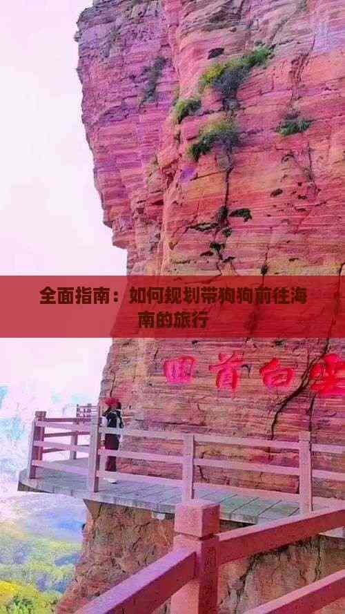 全面指南：如何规划带狗狗前往海南的旅行