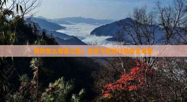 狗狗怎么带去三亚：含坐飞机旅行玩耍全攻略