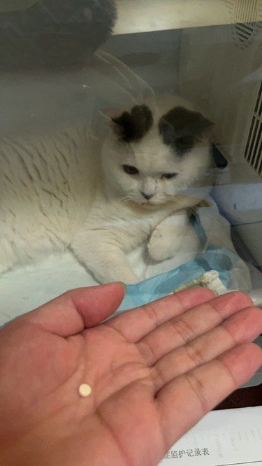 紧急情况！