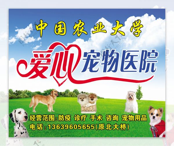 爱心宠物医院图片