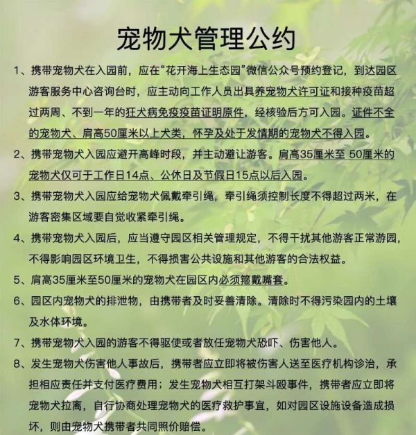上海花开海上生态园可以带狗吗