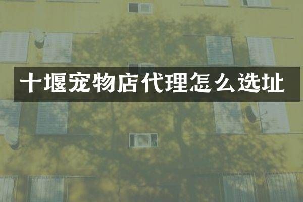十堰宠物店代理怎么选址