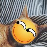 打个大西瓜