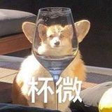 学习委员