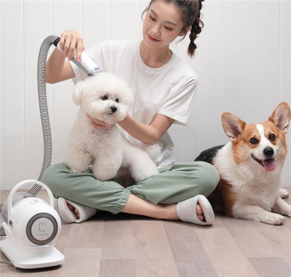 小米有品众筹宠物多功能理毛器：再也不用去宠物店