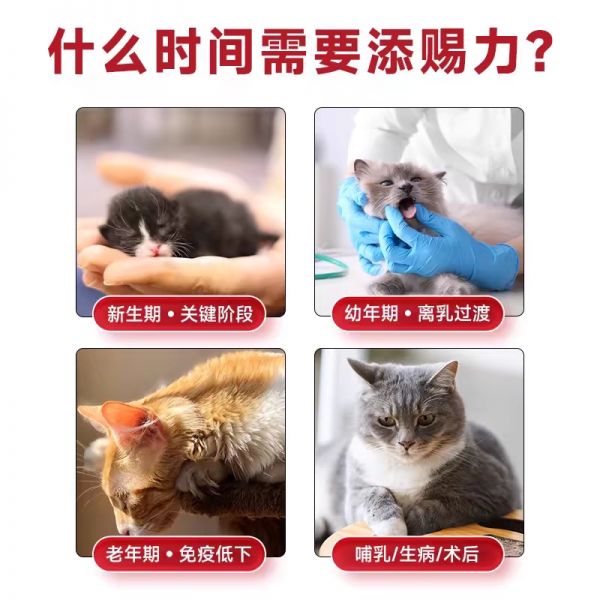 【rjm8.com狗狗用品37】宠物狗大型犬品种价格:美国添赐力牛初乳免疫增强膏猫咪营养膏30ml狗狗乳铁蛋白4852