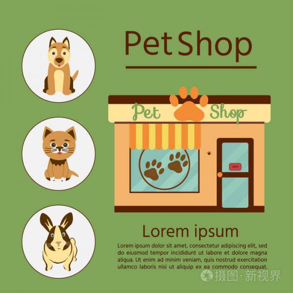 带有猫狗和兔子图标的宠物店矢量卡通风格插图. 孤立在绿色背景上.
