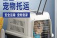 仙桃托运费用-汽车托运狗狗可到达任意城市