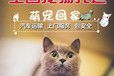 仙桃宠物猫托运火车托运
