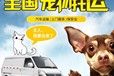 宠物托运）仙桃靠谱的宠物托运飞机托运宠物