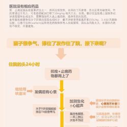 南京艾贝尔宠物医院怎么样？宠物医院排名及服务评价