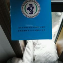 南京艾贝尔宠物医院怎么样？宠物医院排名及服务评价