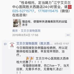南京艾贝尔宠物医院怎么样？宠物医院排名及服务评价