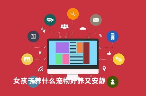 女孩子养什么宠物好养又安静
