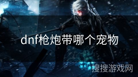 dnf枪炮带哪个宠物